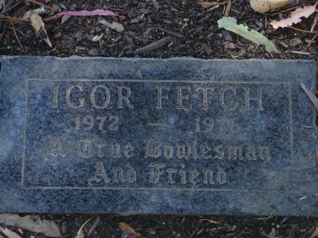 Igor Fetch, one of Cal's finest alumni