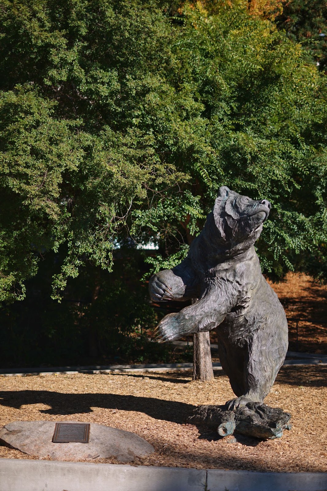 A statue of a bear looking up, surrounded by trees.