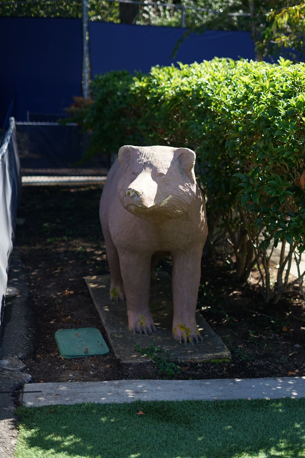A bear statue surrounded by parking railings and bushes. 