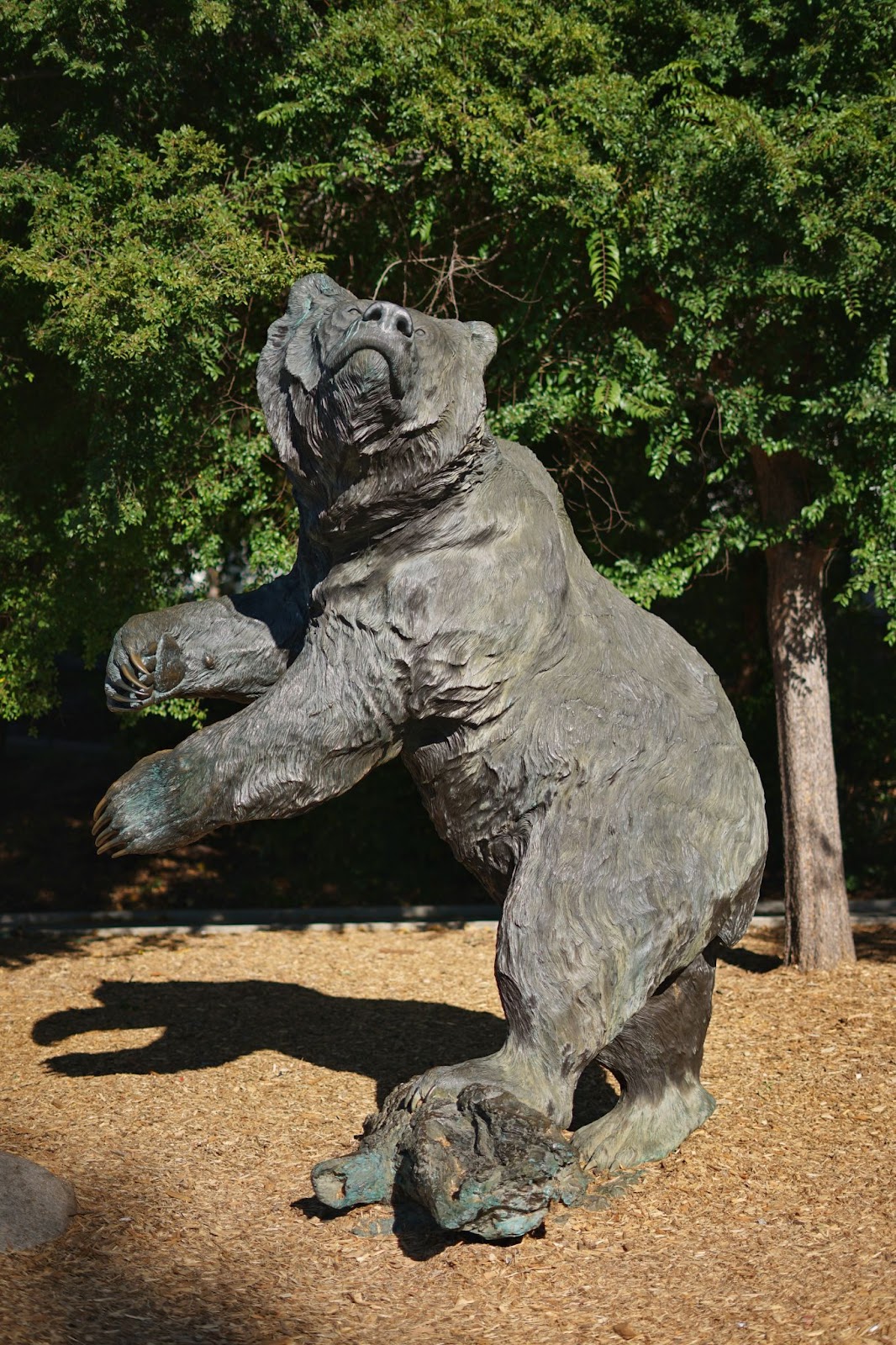 A close-up of a statue of a bear looking up, surrounded by trees.